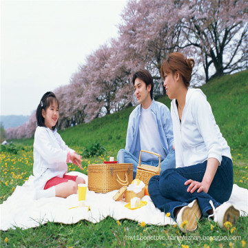 Family Picnic High Transparency Heat Sealable Film